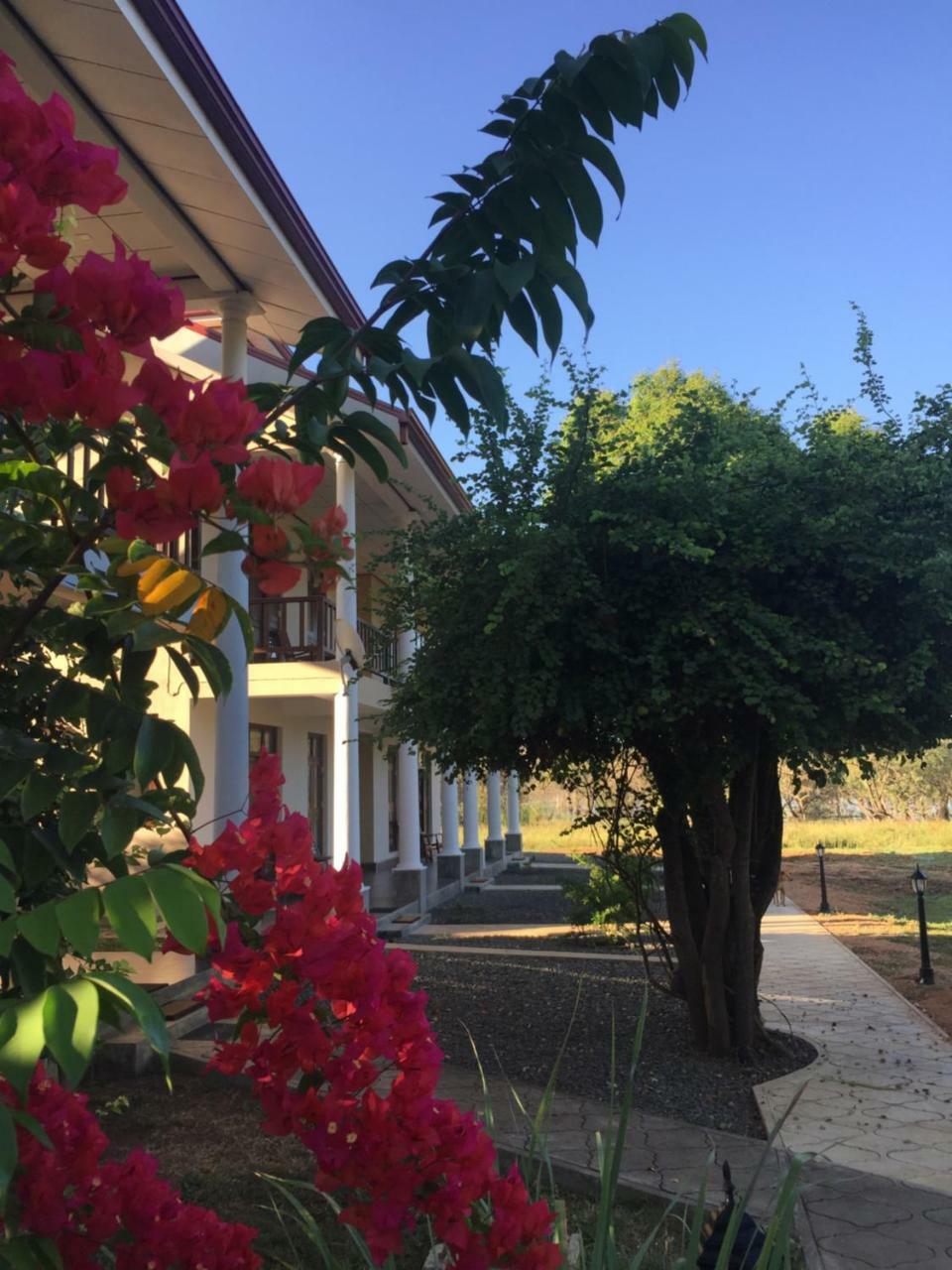 Hotel Goddess Garden Sigirija Zewnętrze zdjęcie